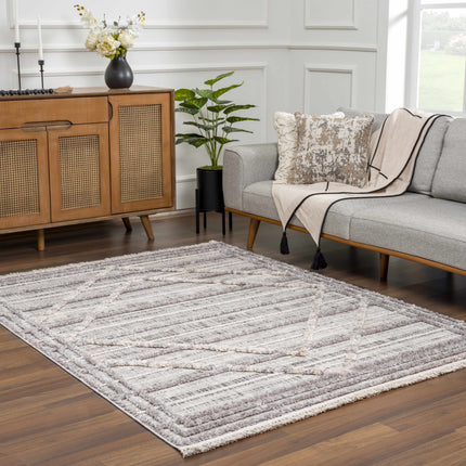 Barurao Area Rug - Clearance Rugs TriadCommerceInc