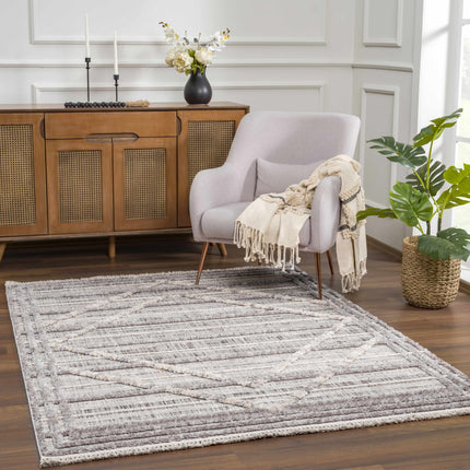 Barurao Area Rug - Clearance Rugs TriadCommerceInc