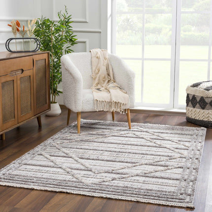 Barurao Area Rug - Clearance Rugs TriadCommerceInc
