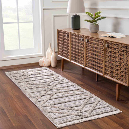 Barurao Area Rug - Clearance Rugs TriadCommerceInc