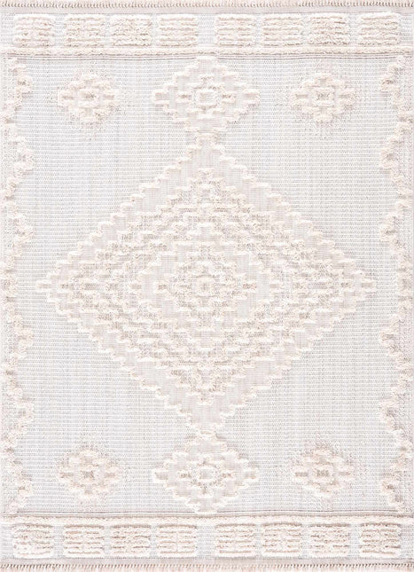 Rosales High-Low Rustic Rug Rugs TriadCommerceInc