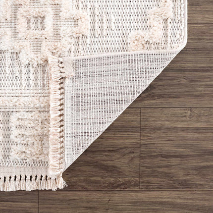 Rosales High-Low Rustic Rug Rugs TriadCommerceInc