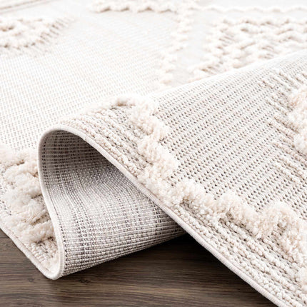 Rosales High-Low Rustic Rug Rugs TriadCommerceInc