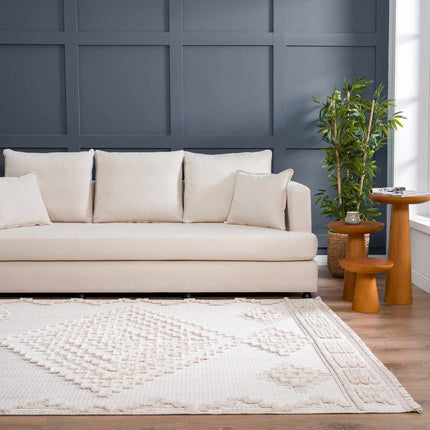 Rosales High-Low Rustic Rug Rugs TriadCommerceInc