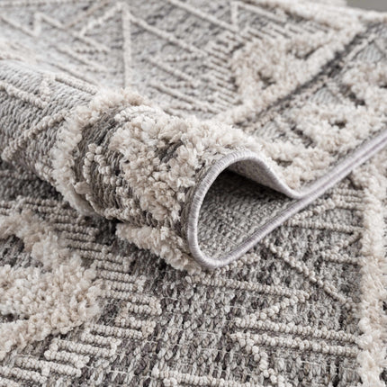Agoo High-Low Pile Rustic Rug Rugs TriadCommerceInc