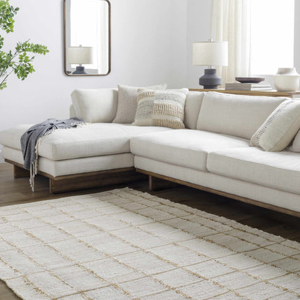 Zared Checkered Jute Area Rug Rugs TriadCommerceInc