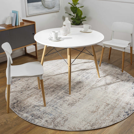 Alcove Abstract Area Rug Rugs TriadCommerceInc
