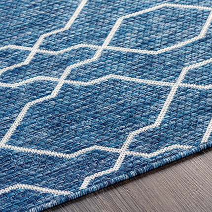 Aldford Denim Blue Trellis Outdoor Carpet Rugs TriadCommerceInc 10' x 14' Rectangle