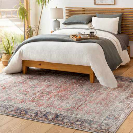 Rust Anahawan Distressed Washable Area Rug - Clearance Rugs TriadCommerceInc