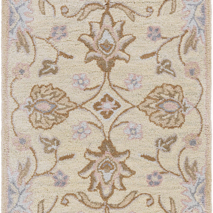 Conesus Hand Tufted Ivory 1109 Wool Rug Rugs TriadCommerceInc 2' x 3' Rectangle