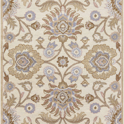 Conesus Hand Tufted Ivory 1109 Wool Rug Rugs TriadCommerceInc 5' x 8' Rectangle