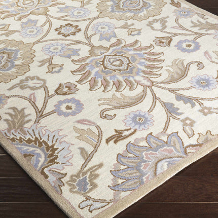 Conesus Hand Tufted Ivory 1109 Wool Rug Rugs TriadCommerceInc