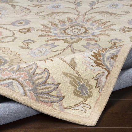 Conesus Hand Tufted Ivory 1109 Wool Rug Rugs TriadCommerceInc