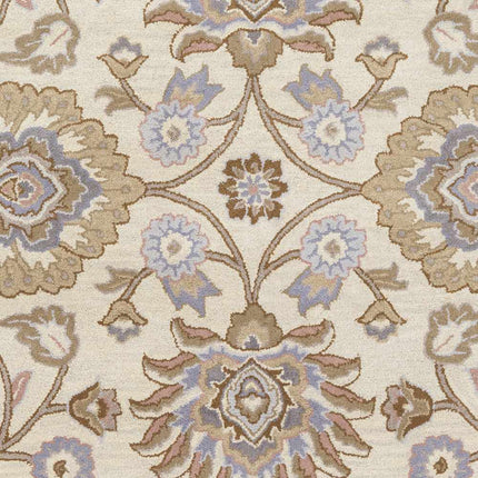 Conesus Hand Tufted Ivory 1109 Wool Rug Rugs TriadCommerceInc
