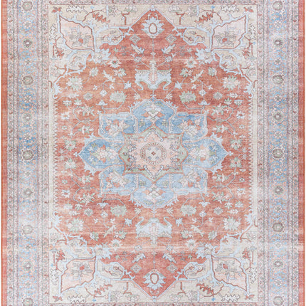 Brown Bagamanoc Medallion Washable Area Rug - Clearance Rugs TriadCommerceInc 7'6'' x 9'6'' Rectangle
