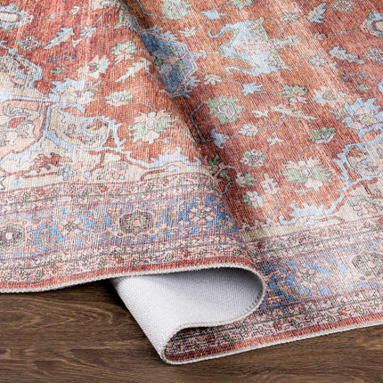 Brown Bagamanoc Medallion Washable Area Rug - Clearance Rugs TriadCommerceInc