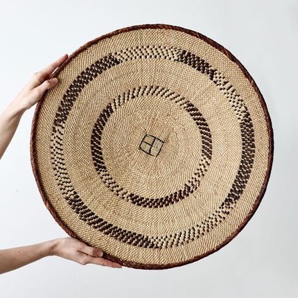 Binga Patterned Brown & Natural Wall Art Wall Basket TriadCommerceInc
