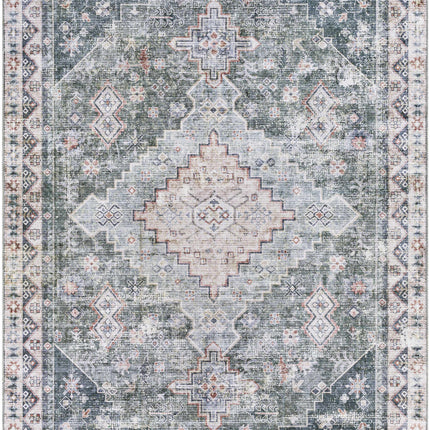 Blackstonedge Washable Area Rug - Clearance Rugs TriadCommerceInc * 5' x 7'6" Rectangle