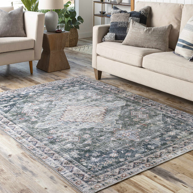 Blackstonedge Washable Area Rug - Clearance Rugs TriadCommerceInc