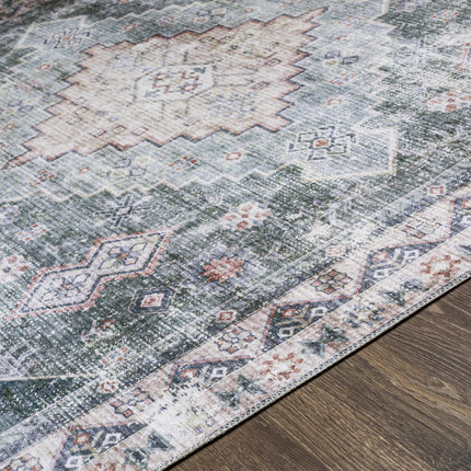 Blackstonedge Washable Area Rug - Clearance Rugs TriadCommerceInc