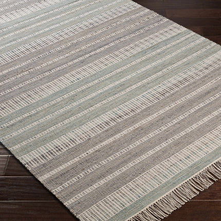 Bocana Area Rug - Clearance Rugs TriadCommerceInc