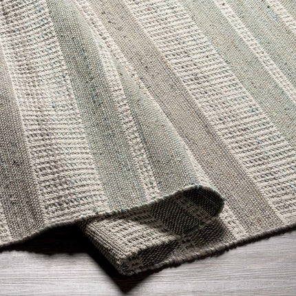 Bocana Area Rug - Clearance Rugs TriadCommerceInc