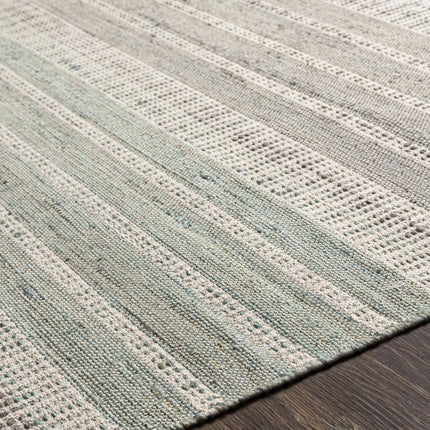 Bocana Area Rug - Clearance Rugs TriadCommerceInc