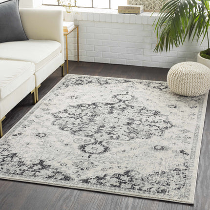 Bodrum Gray Area Rug Rugs TriadCommerceInc