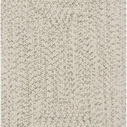 Beige Braided Faux Jute Rug Rugs TriadCommerceInc 2' x 3' Rectangle