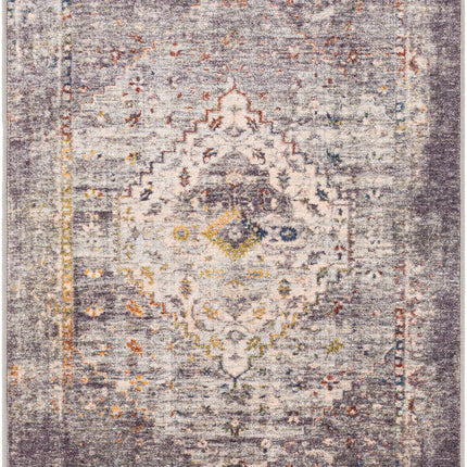 Basiad Washable Area Rug - Clearance Rugs TriadCommerceInc