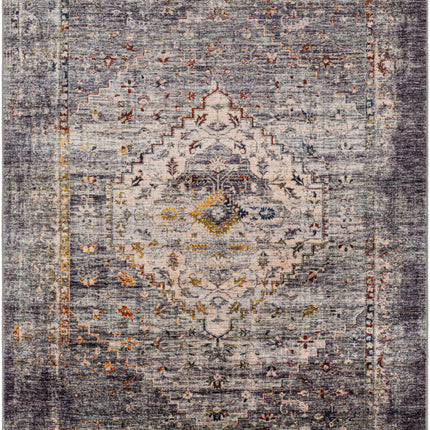 Basiad Washable Area Rug - Clearance Rugs TriadCommerceInc * 5'3" x 7' Rectangle