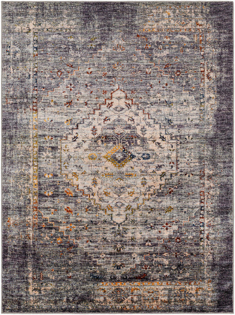 Basiad Washable Area Rug - Clearance Rugs TriadCommerceInc * 5'3" x 7' Rectangle