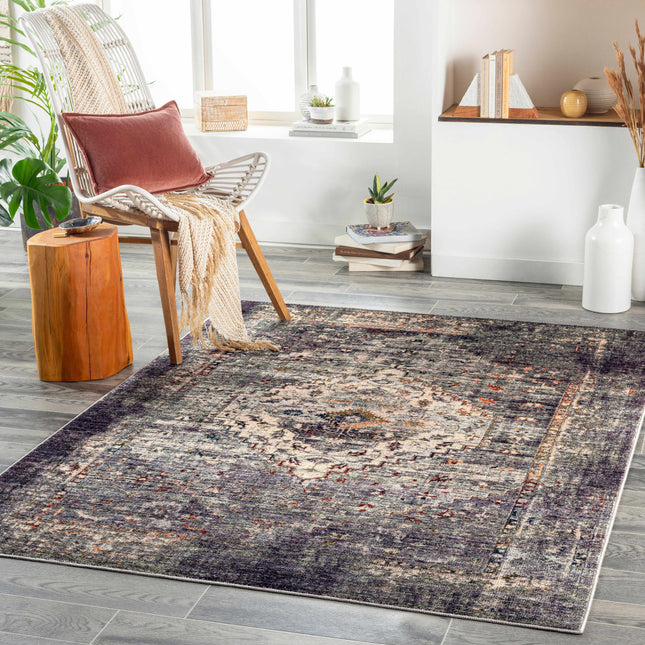 Basiad Washable Area Rug - Clearance Rugs TriadCommerceInc