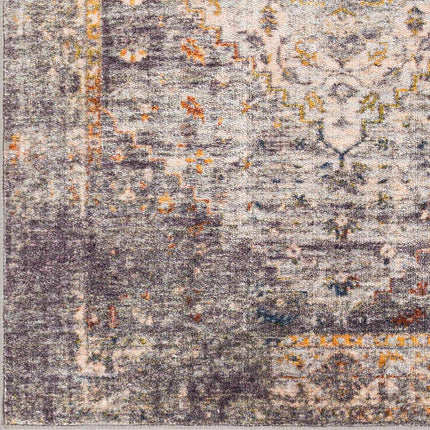 Basiad Washable Area Rug - Clearance Rugs TriadCommerceInc