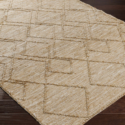 Buse Hand Woven Beige Area Rug - Clearance Rugs TriadCommerceInc