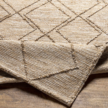 Buse Hand Woven Beige Area Rug - Clearance Rugs TriadCommerceInc