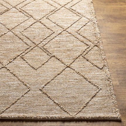 Buse Hand Woven Beige Area Rug - Clearance Rugs TriadCommerceInc