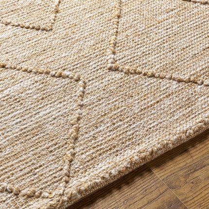 Buse Hand Woven Beige Area Rug - Clearance Rugs TriadCommerceInc