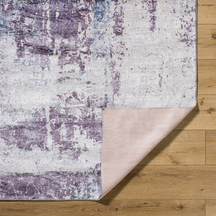 Busia Washable Area Rug - Clearance Rugs TriadCommerceInc