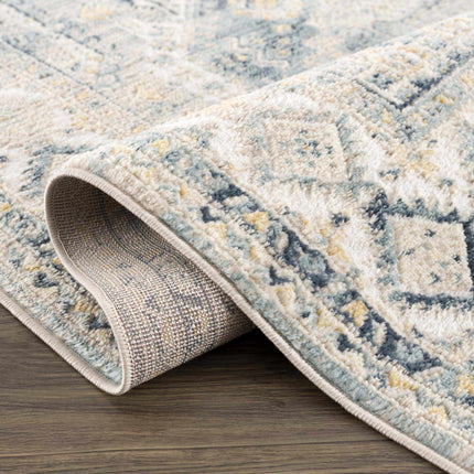 Brend Blue Medallion Area Rug - Clearance Rugs TriadCommerceInc