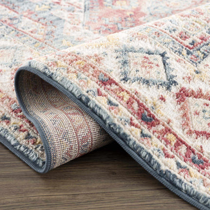 Brend Rust Medallion Area Rug - Clearance Rugs TriadCommerceInc