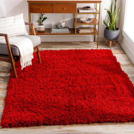 Siari Solid Red Shag Rug Rugs TriadCommerceInc