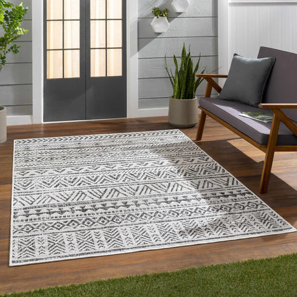 Catrine Indoor & Outdoor Rug - Clearance Rugs TriadCommerceInc