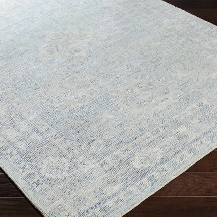 Calderbank Sky Blue Wool-Blend Area Rug Rugs TriadCommerceInc