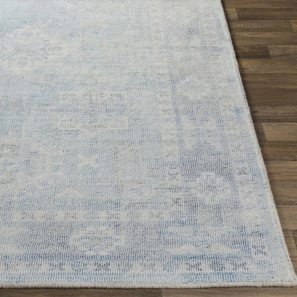 Calderbank Sky Blue Wool-Blend Area Rug Rugs TriadCommerceInc