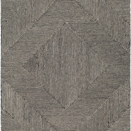 Conshohocken Area Rug Rugs TriadCommerceInc 5' x 7'6" Rectangle