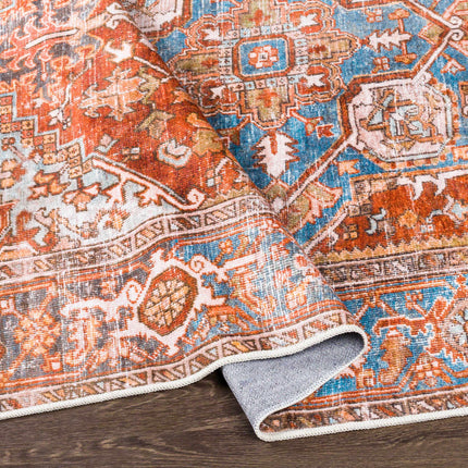 Darapidap Washable Area Rug Rugs TriadCommerceInc