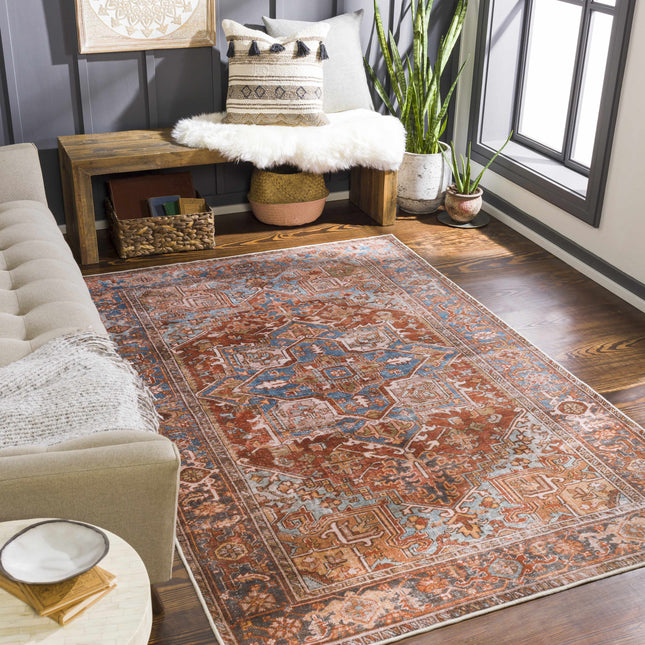 Darapidap Washable Area Rug Rugs TriadCommerceInc