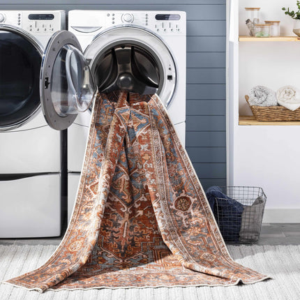 Darapidap Washable Area Rug Rugs TriadCommerceInc