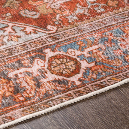 Darapidap Washable Area Rug Rugs TriadCommerceInc